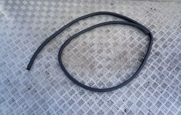 Nissan X-Trail T31 Front door rubber seal