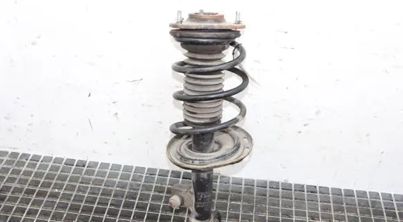 Toyota RAV 4 (XA40) Front shock absorber/damper
