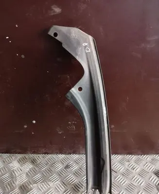 Engine bonnet/hood lock trim molding