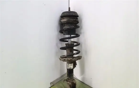Opel Meriva A Front shock absorber with coil spring 22194807
