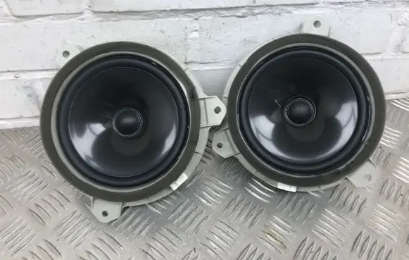 Rear door speaker