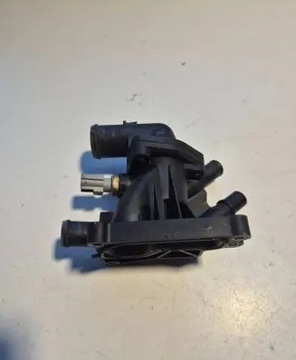 Thermostat/thermostat housing