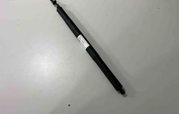 Tailgate/trunk strut/damper