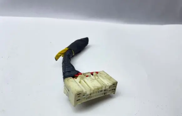 Hyundai Ioniq 5 Other wiring loom