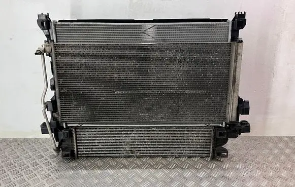 Renault Trafic III (X82) Radiator set 214818795R