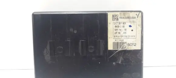 Hyundai i20 (PB PBT) Other control units/modules 954101J100