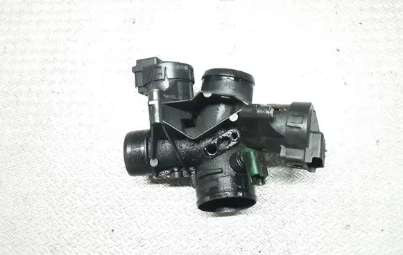 Peugeot 407 Throttle valve