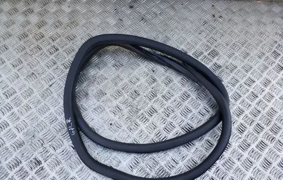 Rear door rubber seal (on body)