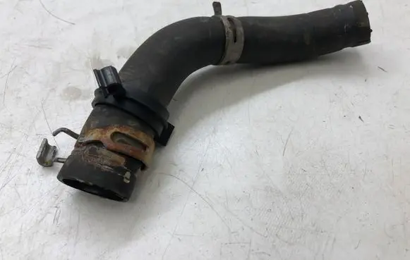 Ford Focus Engine coolant pipe/hose
