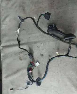 Front door wiring loom