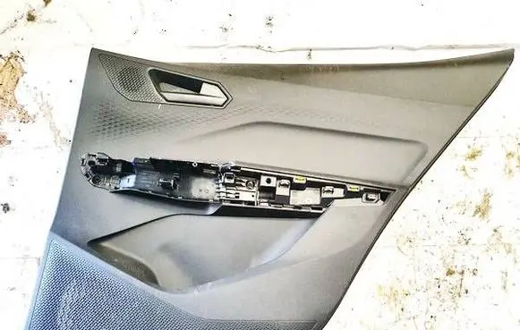 Cupra Born Rear door card panel trim 10e867134 156265251
