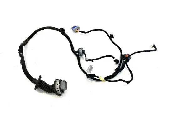 Rear door wiring loom