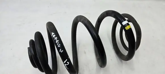 Renault Trafic III (X82) Rear coil spring 