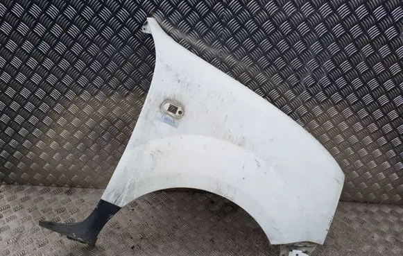 Renault Kangoo I Fender