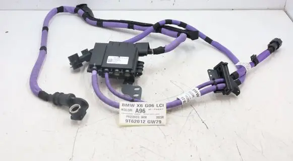 BMW X6 G06 Positive cable (battery) 7650308MWGK1407 7650308