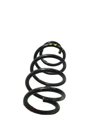 Volkswagen PASSAT B6 Rear coil spring