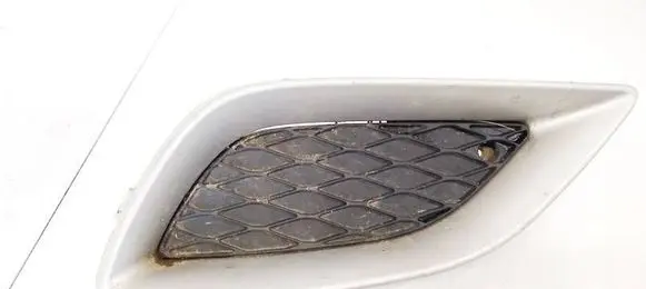 Front bumper lower grill