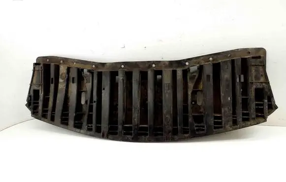 Front bumper skid plate/under tray