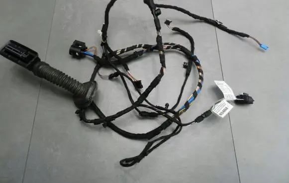 Rear door wiring loom