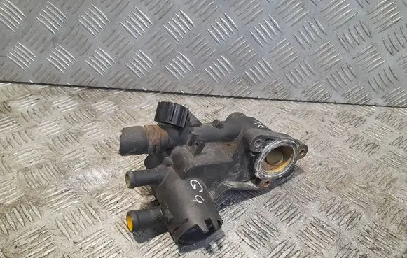 Thermostat/thermostat housing