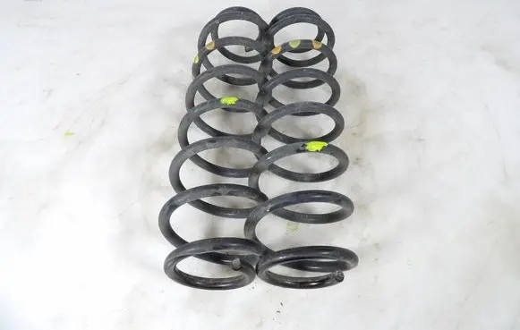 Rear coil spring