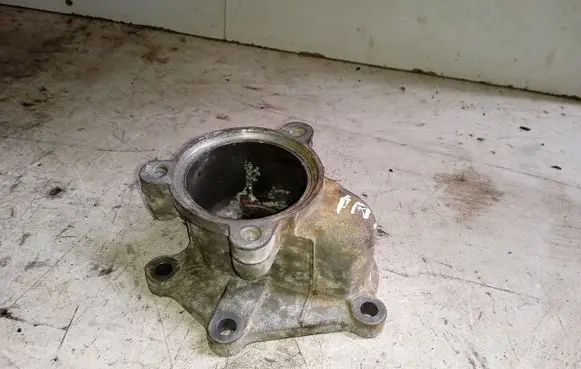 Thermostat/thermostat housing