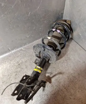 Renault Koleos I Front shock absorber with coil spring D0027R