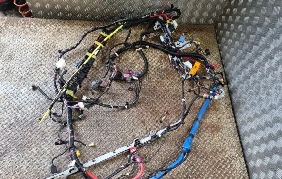 Tesla Model Y Other wiring loom 101558500A 161669103D