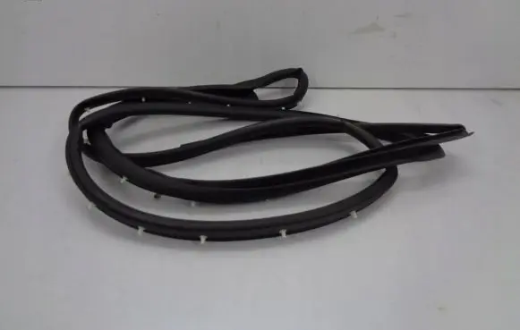 Ford Ecosport Rear door rubber seal (on body) DN1Z74253A11AA