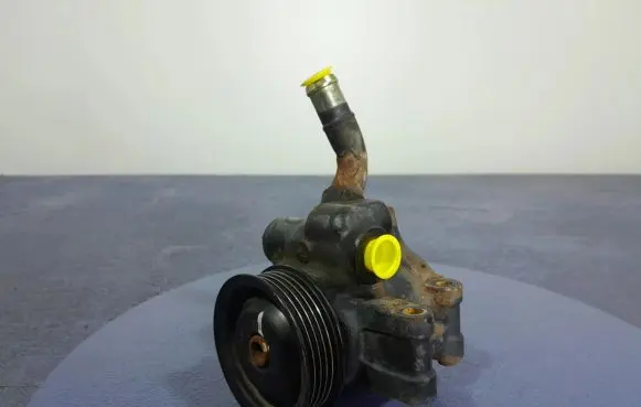 Ford Fiesta Power steering pump