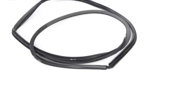 Toyota Prius (XW20) Rubber seal front door (on door) 