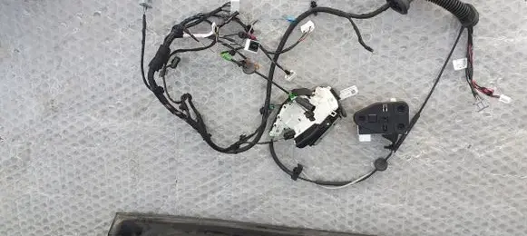 Tesla Model X Rear door