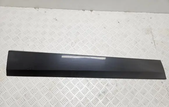 Renault Scenic III - Grand scenic III Front door trim (molding) 808770011R