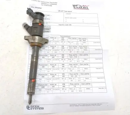 Citroen C5 Fuel injector 0445110297