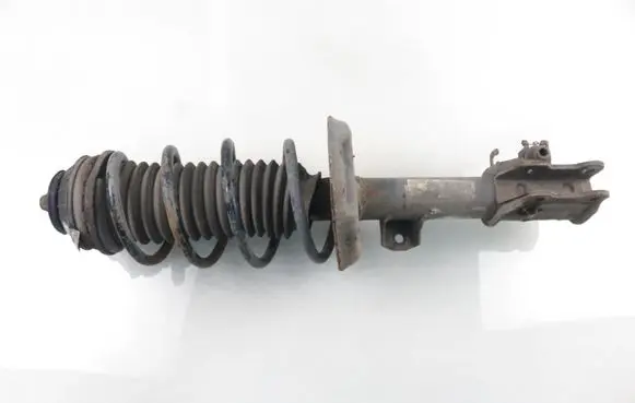 Fiat Punto (199) Front shock absorber with coil spring 51796545