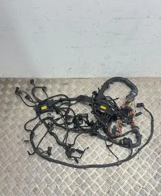 Engine installation wiring loom