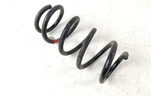 Tesla Model 3 Rear coil spring 104447201E