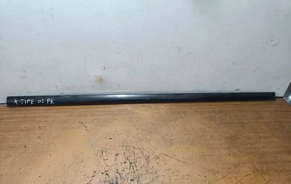 Jaguar X-Type Front door trim (molding) 5420781