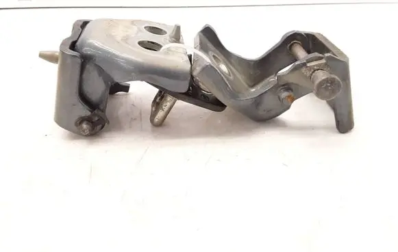 Citroen C4 Grand Picasso Front door hinge set 