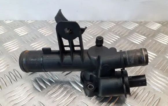 Thermostat/thermostat housing