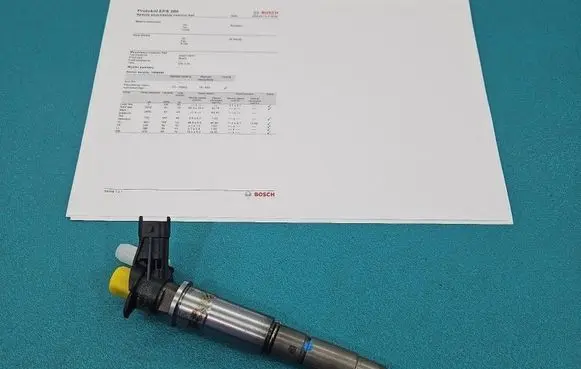 Nissan Qashqai Fuel injector 0445115007 IMPRK1569540