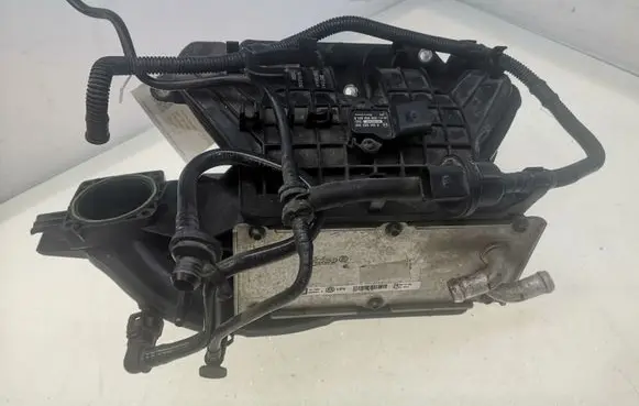 Volkswagen Golf VI Intake manifold 03C129711AD 038906051B 993282L