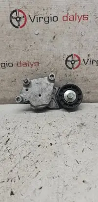 Peugeot 206 Generator/alternator belt tensioner Tf049