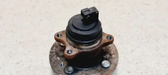 Rear wheel hub