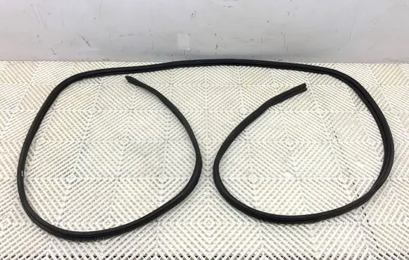 Renault Trafic III (X82) Rubber seal front door (on door) 