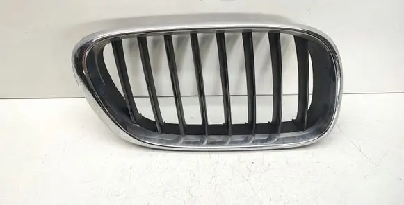 BMW X5 E53 Front bumper upper radiator grill 8247674 51138247674