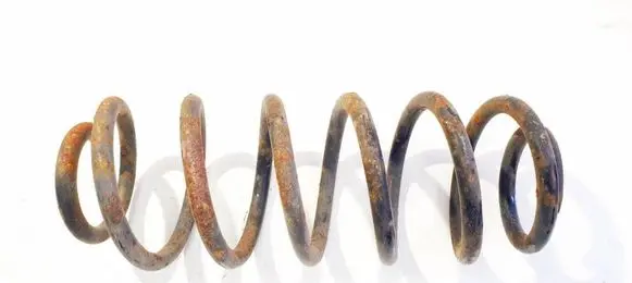 Rear coil spring