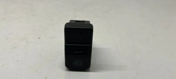 Fog light switch