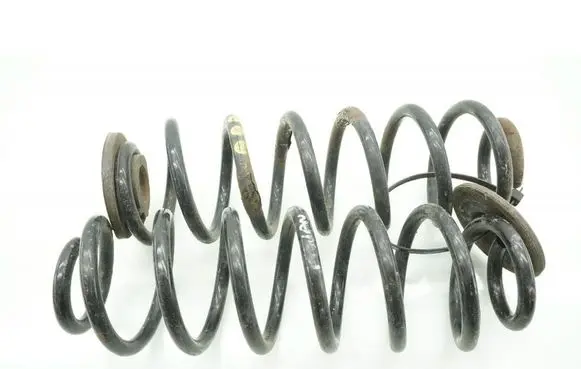Rear coil spring