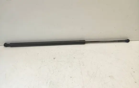 Tailgate/trunk strut/damper
